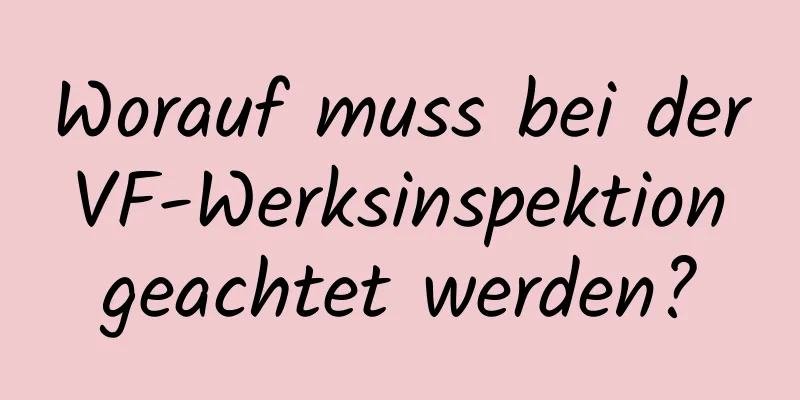 Worauf muss bei der VF-Werksinspektion geachtet werden?