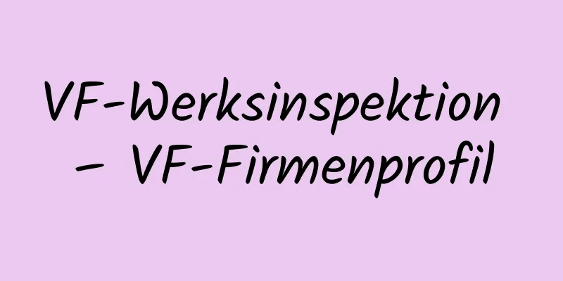 VF-Werksinspektion – VF-Firmenprofil