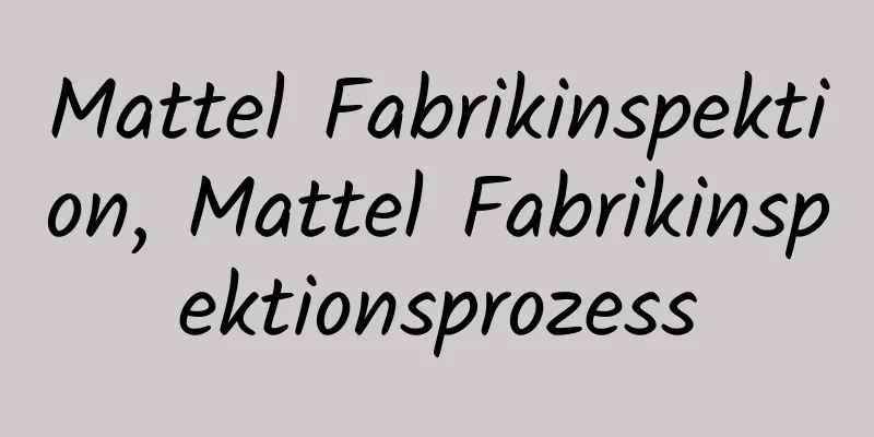 Mattel Fabrikinspektion, Mattel Fabrikinspektionsprozess