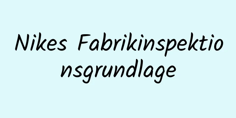 Nikes Fabrikinspektionsgrundlage