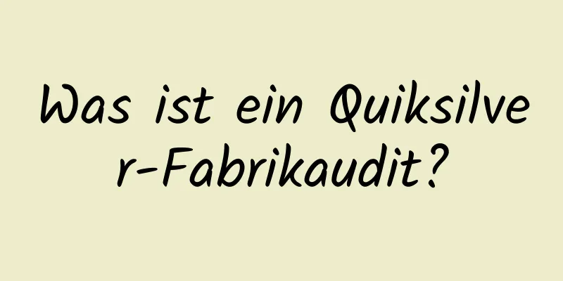 Was ist ein Quiksilver-Fabrikaudit?