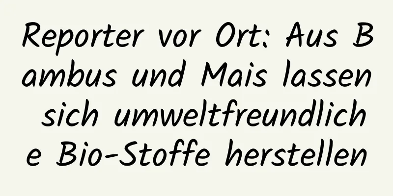 Reporter vor Ort: Aus Bambus und Mais lassen sich umweltfreundliche Bio-Stoffe herstellen