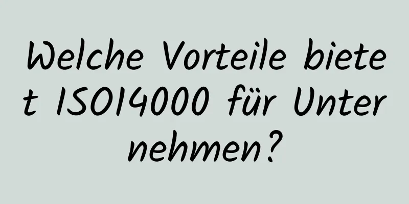 Welche Vorteile bietet ISO14000 für Unternehmen?