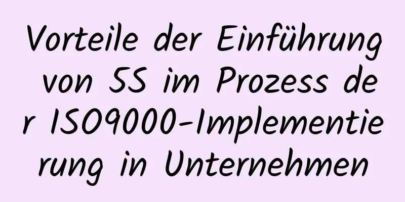 Vorteile der Einführung von 5S im Prozess der ISO9000-Implementierung in Unternehmen