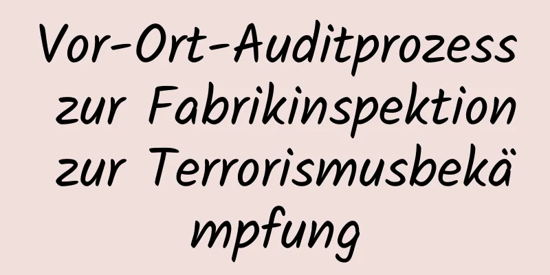 Vor-Ort-Auditprozess zur Fabrikinspektion zur Terrorismusbekämpfung