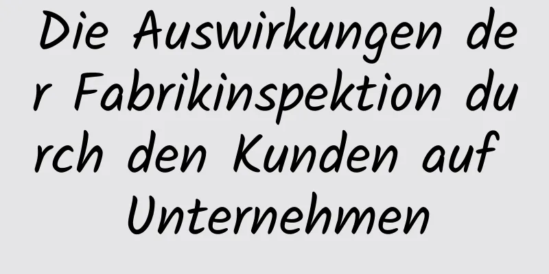 Die Auswirkungen der Fabrikinspektion durch den Kunden auf Unternehmen