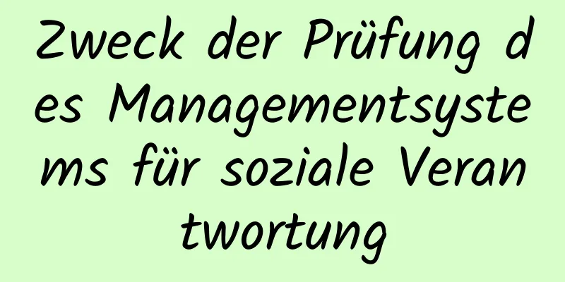 Zweck der Prüfung des Managementsystems für soziale Verantwortung