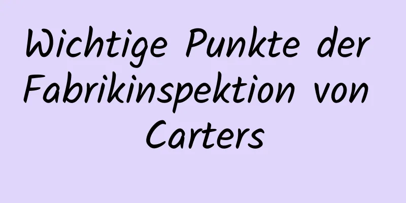 Wichtige Punkte der Fabrikinspektion von Carters