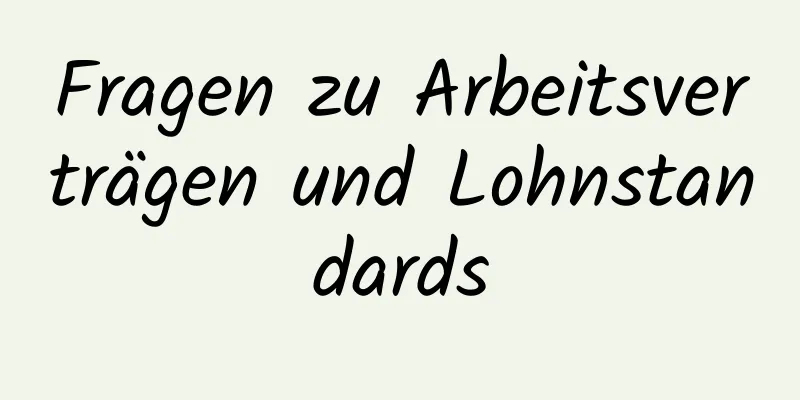 Fragen zu Arbeitsverträgen und Lohnstandards