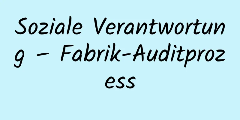 Soziale Verantwortung – Fabrik-Auditprozess