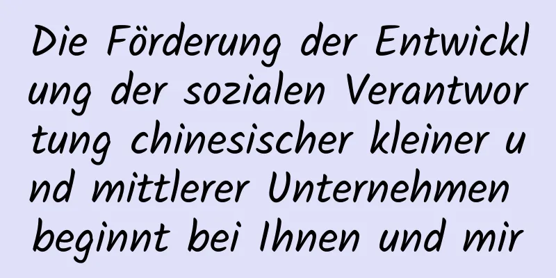 Die Förderung der Entwicklung der sozialen Verantwortung chinesischer kleiner und mittlerer Unternehmen beginnt bei Ihnen und mir