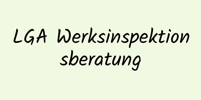 LGA Werksinspektionsberatung