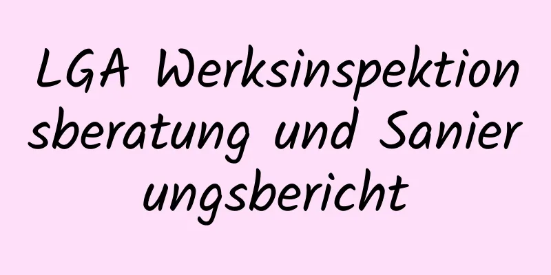 LGA Werksinspektionsberatung und Sanierungsbericht