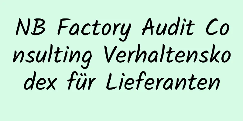 NB Factory Audit Consulting Verhaltenskodex für Lieferanten