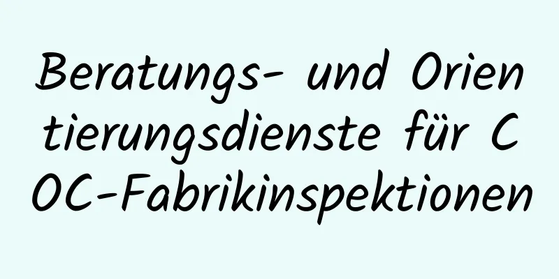 Beratungs- und Orientierungsdienste für COC-Fabrikinspektionen