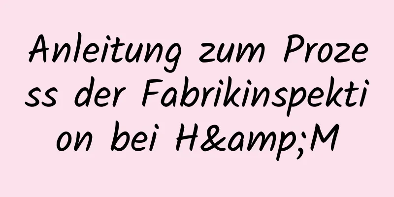 Anleitung zum Prozess der Fabrikinspektion bei H&M