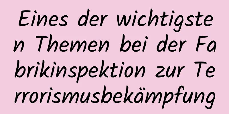 Eines der wichtigsten Themen bei der Fabrikinspektion zur Terrorismusbekämpfung