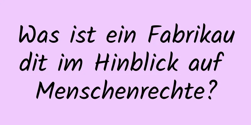 Was ist ein Fabrikaudit im Hinblick auf Menschenrechte?