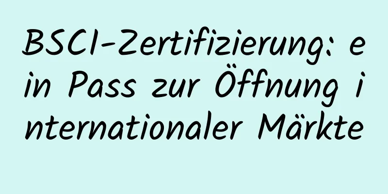 BSCI-Zertifizierung: ein Pass zur Öffnung internationaler Märkte