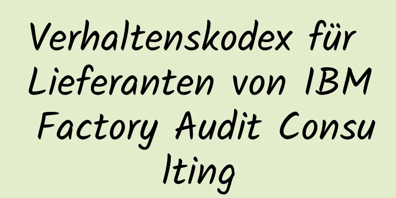 Verhaltenskodex für Lieferanten von IBM Factory Audit Consulting