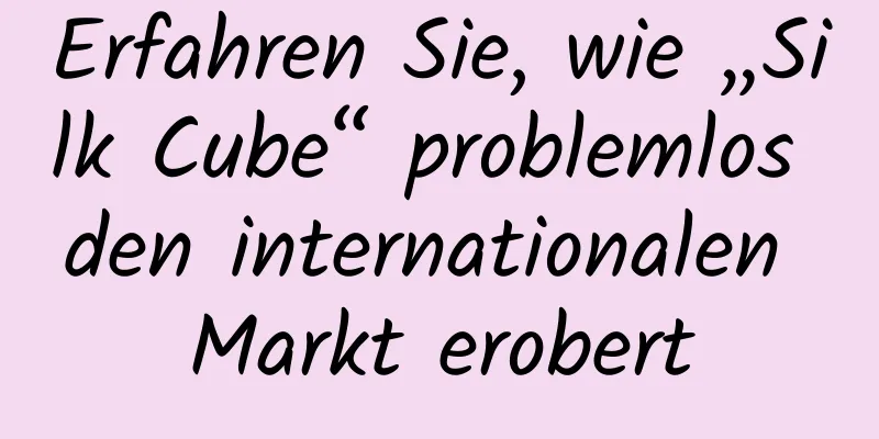 Erfahren Sie, wie „Silk Cube“ problemlos den internationalen Markt erobert