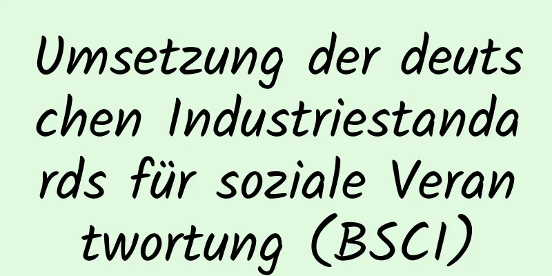 Umsetzung der deutschen Industriestandards für soziale Verantwortung (BSCI)