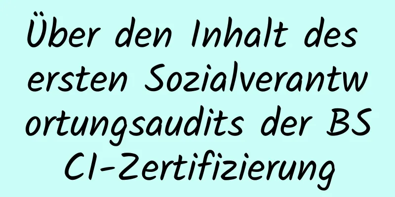 Über den Inhalt des ersten Sozialverantwortungsaudits der BSCI-Zertifizierung