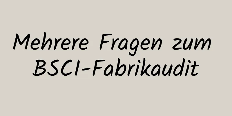 Mehrere Fragen zum BSCI-Fabrikaudit