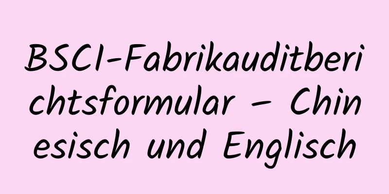 BSCI-Fabrikauditberichtsformular – Chinesisch und Englisch