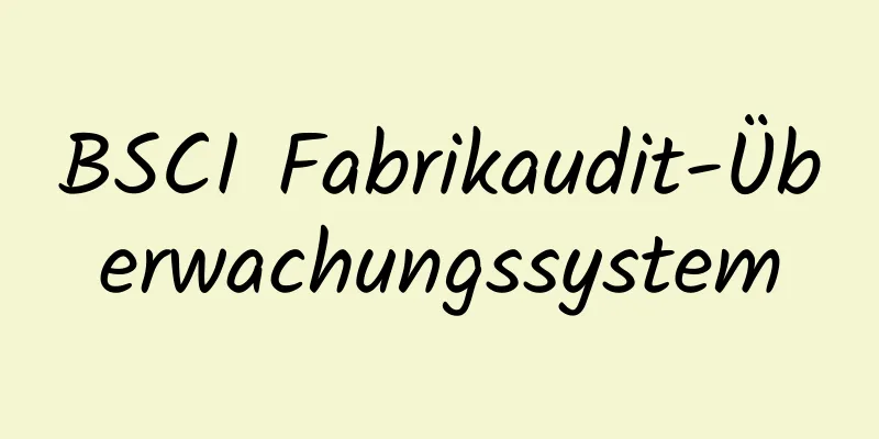 BSCI Fabrikaudit-Überwachungssystem