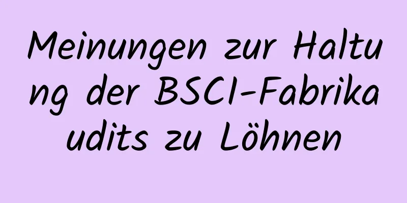 Meinungen zur Haltung der BSCI-Fabrikaudits zu Löhnen