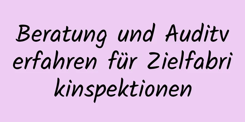 Beratung und Auditverfahren für Zielfabrikinspektionen