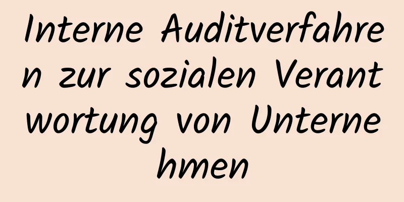 Interne Auditverfahren zur sozialen Verantwortung von Unternehmen