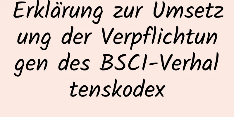 Erklärung zur Umsetzung der Verpflichtungen des BSCI-Verhaltenskodex