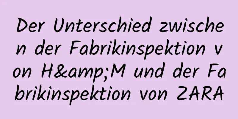 Der Unterschied zwischen der Fabrikinspektion von H&M und der Fabrikinspektion von ZARA