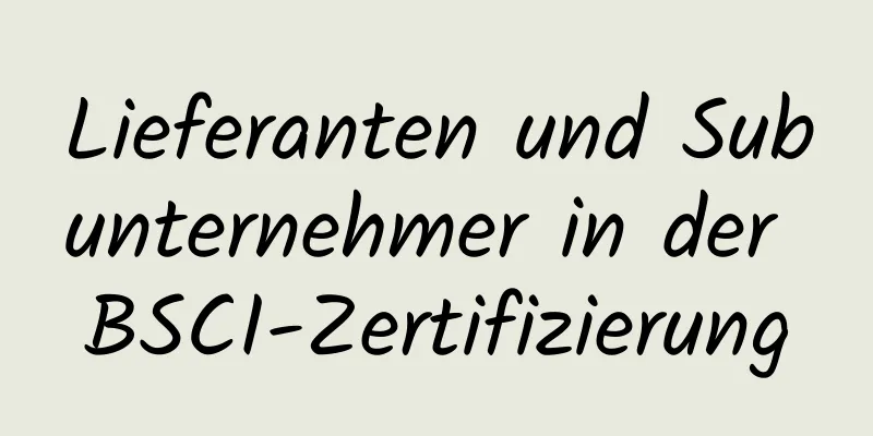 Lieferanten und Subunternehmer in der BSCI-Zertifizierung