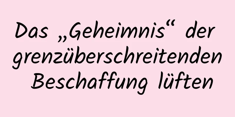 Das „Geheimnis“ der grenzüberschreitenden Beschaffung lüften