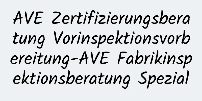 AVE Zertifizierungsberatung Vorinspektionsvorbereitung-AVE Fabrikinspektionsberatung Spezial