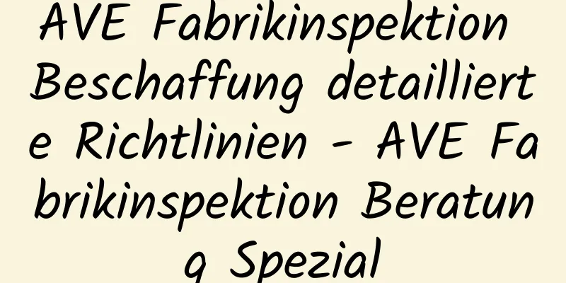 AVE Fabrikinspektion Beschaffung detaillierte Richtlinien - AVE Fabrikinspektion Beratung Spezial