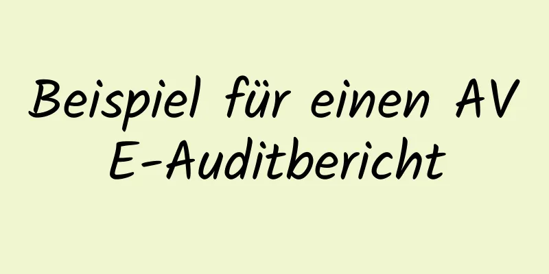 Beispiel für einen AVE-Auditbericht