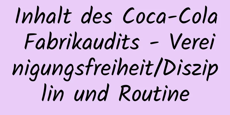 Inhalt des Coca-Cola Fabrikaudits - Vereinigungsfreiheit/Disziplin und Routine