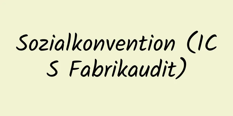 Sozialkonvention (ICS Fabrikaudit)