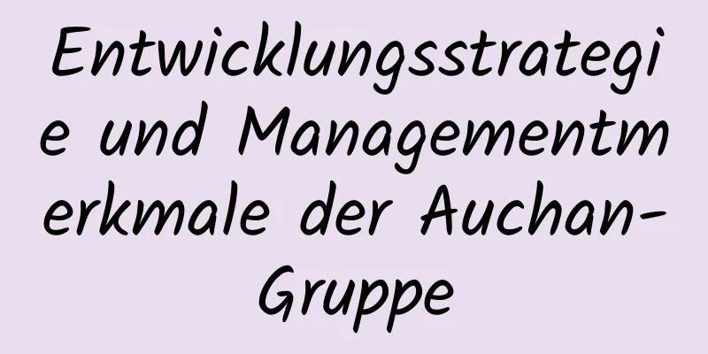 Entwicklungsstrategie und Managementmerkmale der Auchan-Gruppe