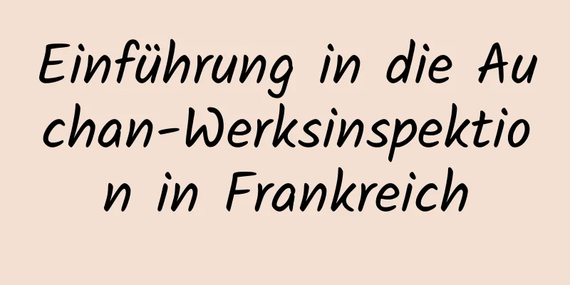 Einführung in die Auchan-Werksinspektion in Frankreich