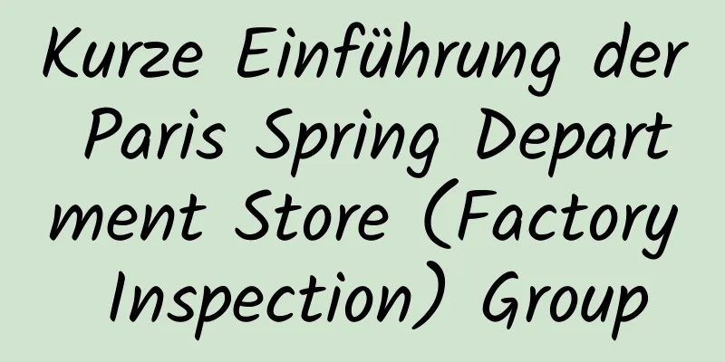 Kurze Einführung der Paris Spring Department Store (Factory Inspection) Group