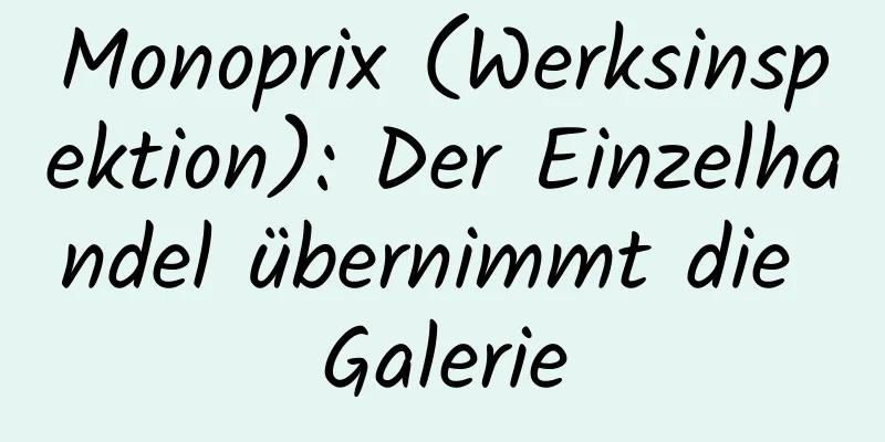 Monoprix (Werksinspektion): Der Einzelhandel übernimmt die Galerie