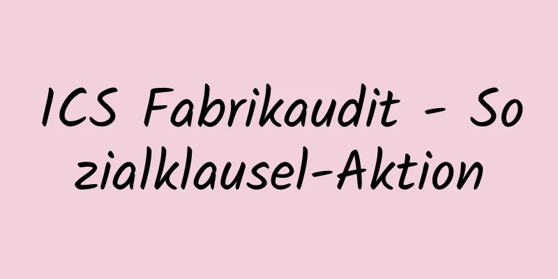 ICS Fabrikaudit - Sozialklausel-Aktion