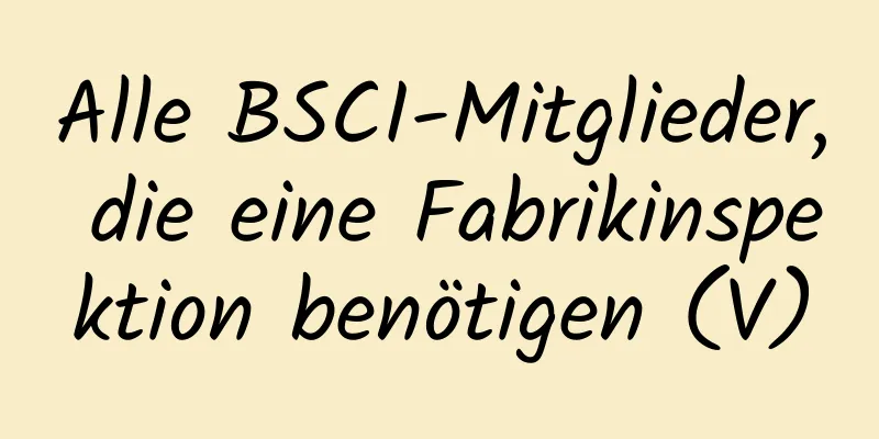 Alle BSCI-Mitglieder, die eine Fabrikinspektion benötigen (V)