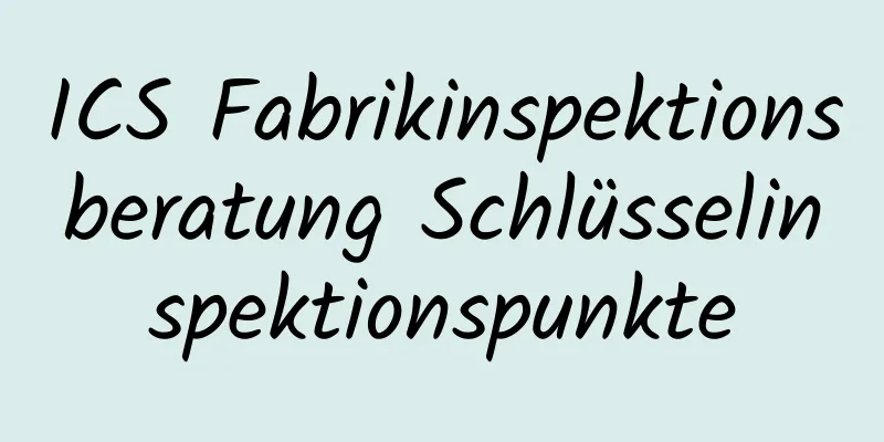 ICS Fabrikinspektionsberatung Schlüsselinspektionspunkte