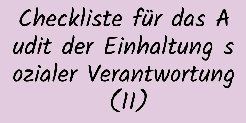 Checkliste für das Audit der Einhaltung sozialer Verantwortung (II)